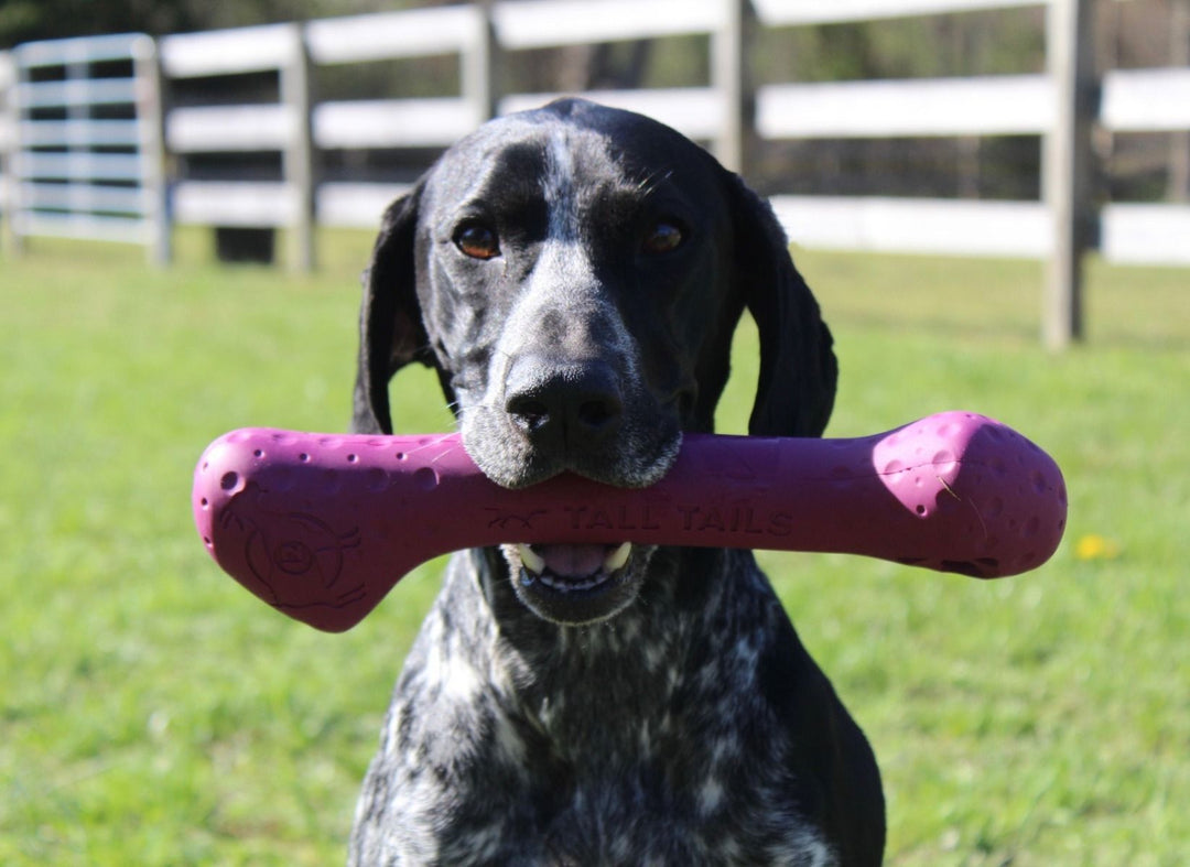 Rubber Bone Dog Toy