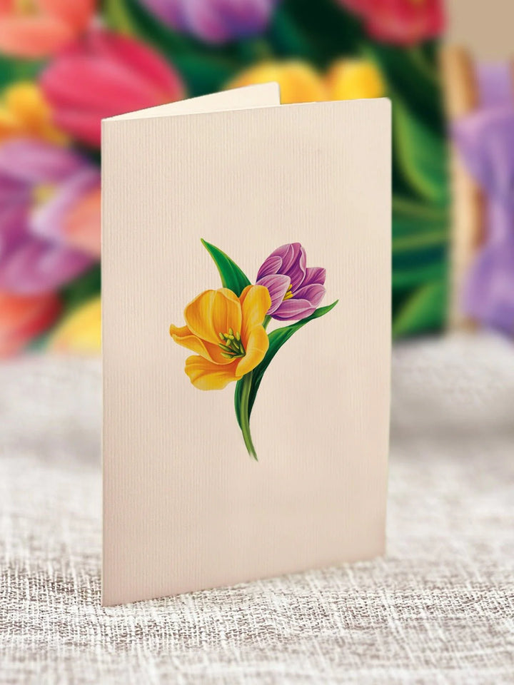 Mini Festive Tulips Pop-up Bouquet