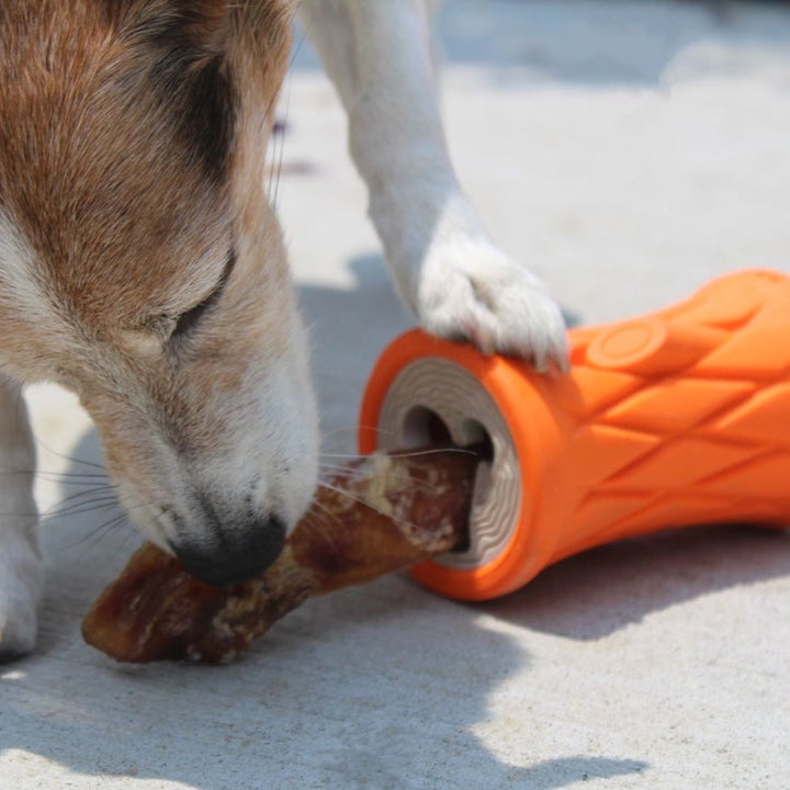 Natural Rubber Trunk Dog Toy