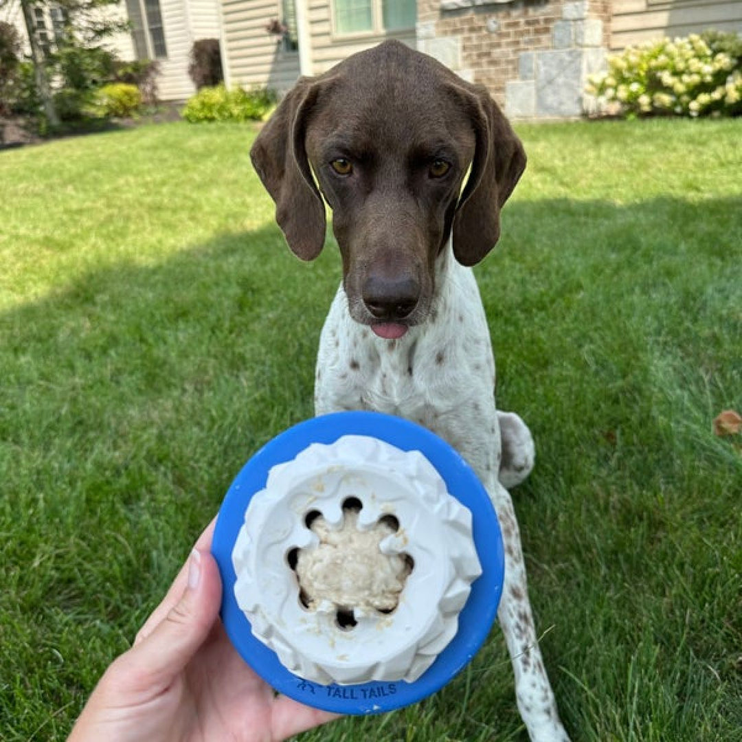 Polar Freezable Reward Dog Toy