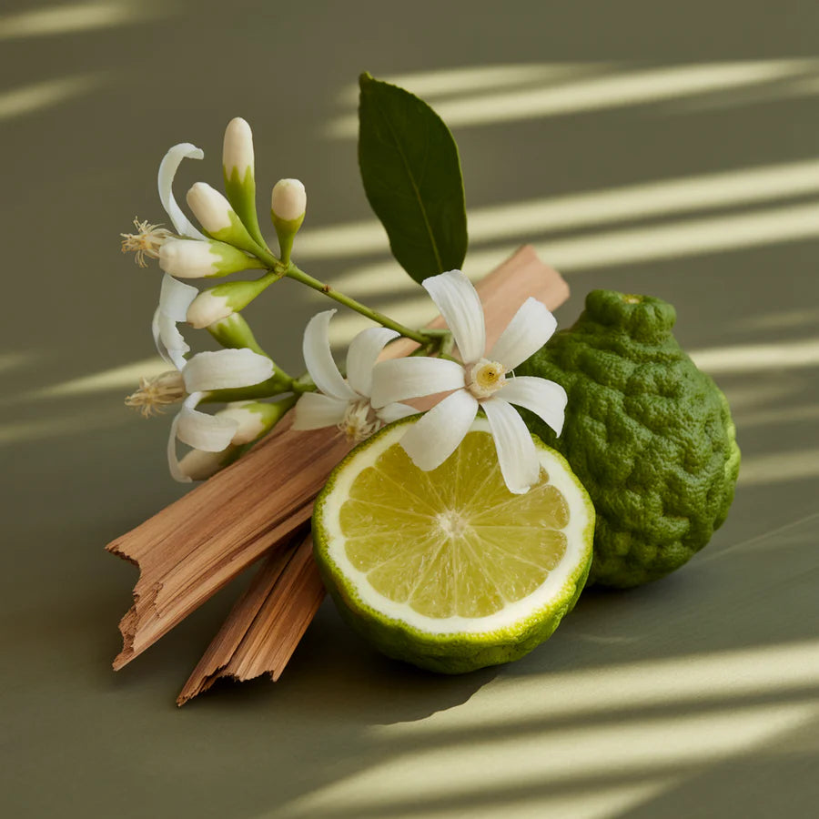 Pura SoHo Fragrance Refill