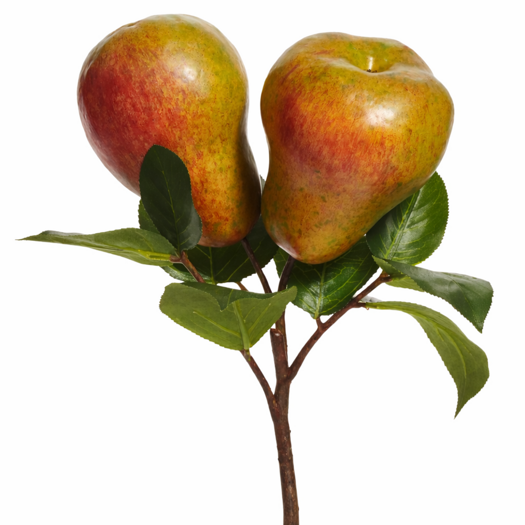 Two pears on a branch with leaves against a white background