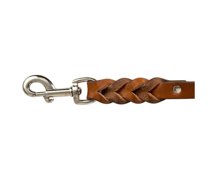 Explorer Leather Dog Leash