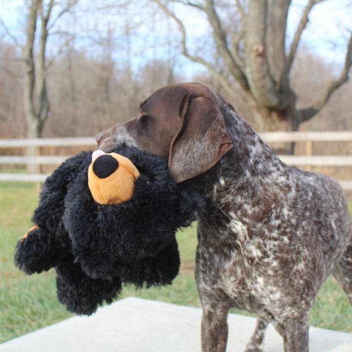 Stuffless Black Bear Dog Toy