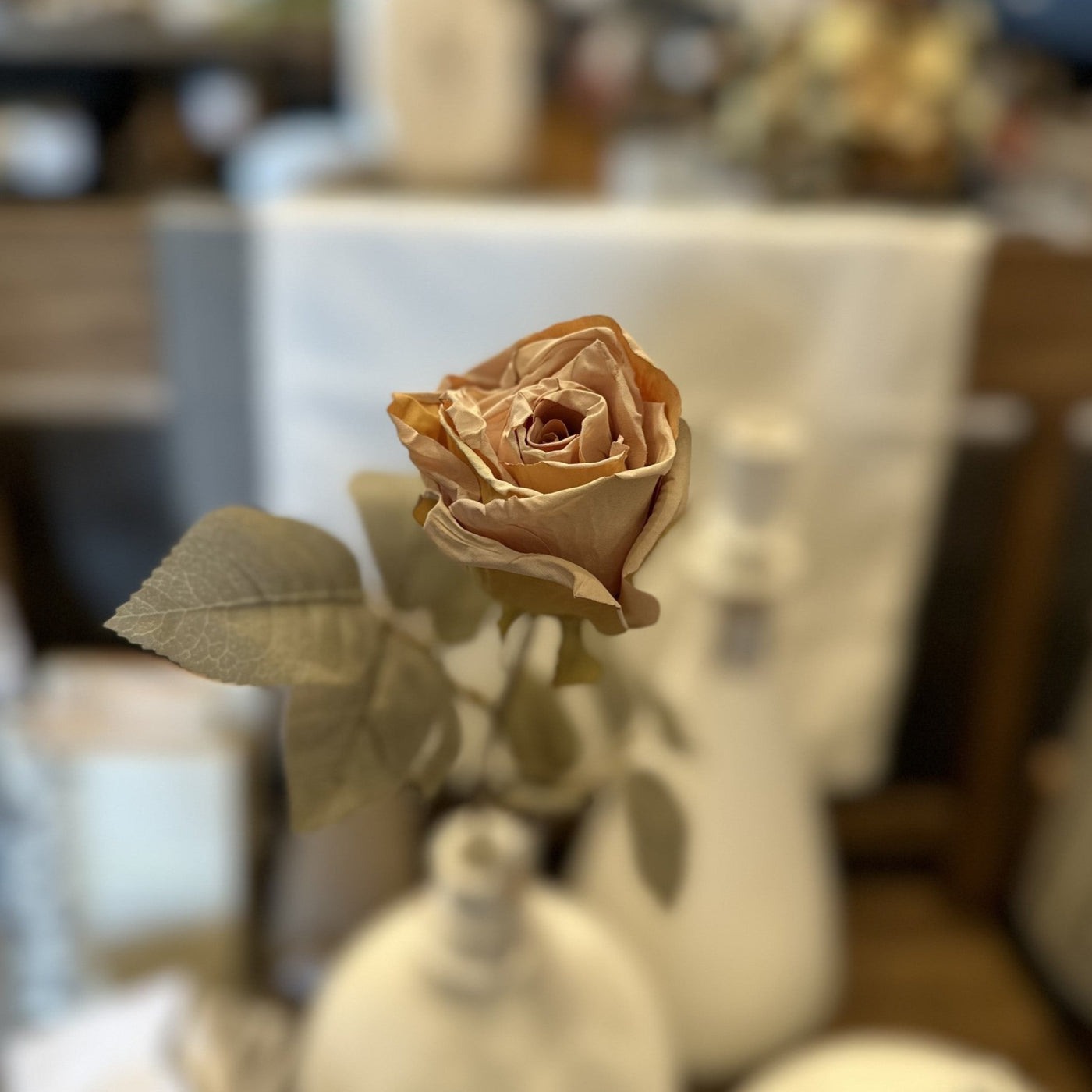 Holland Dried Rose