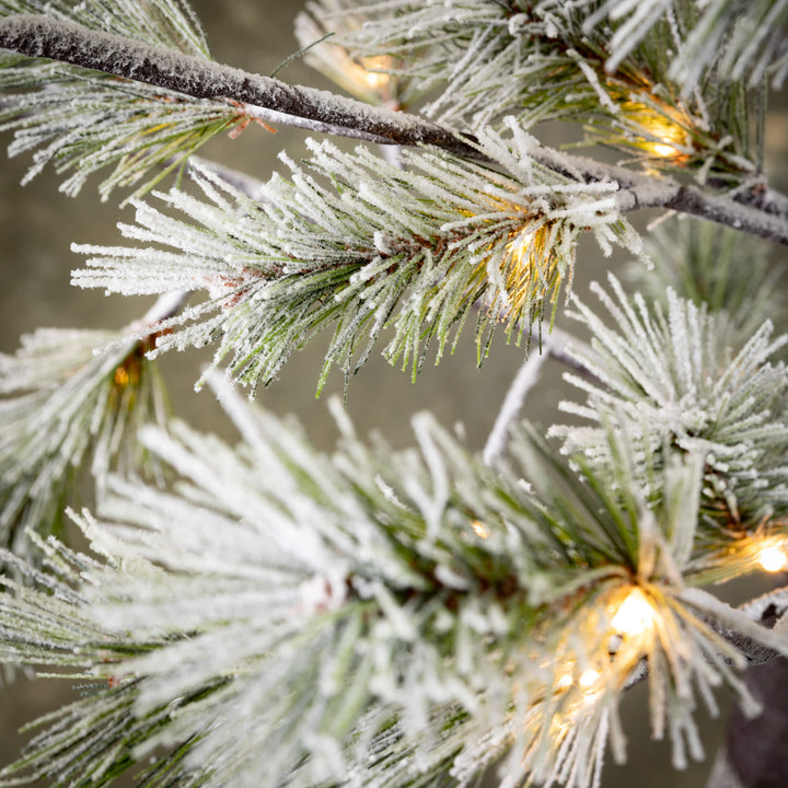 Snowy Pruned Pre-lit Pine Tree - Local Pickup