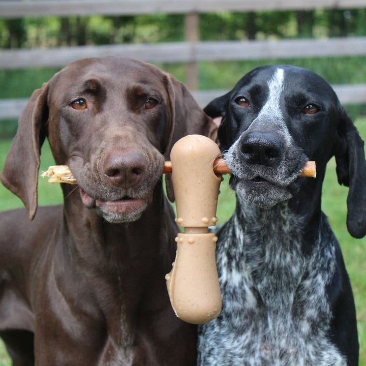 Bully Stick Dog Treat Holder