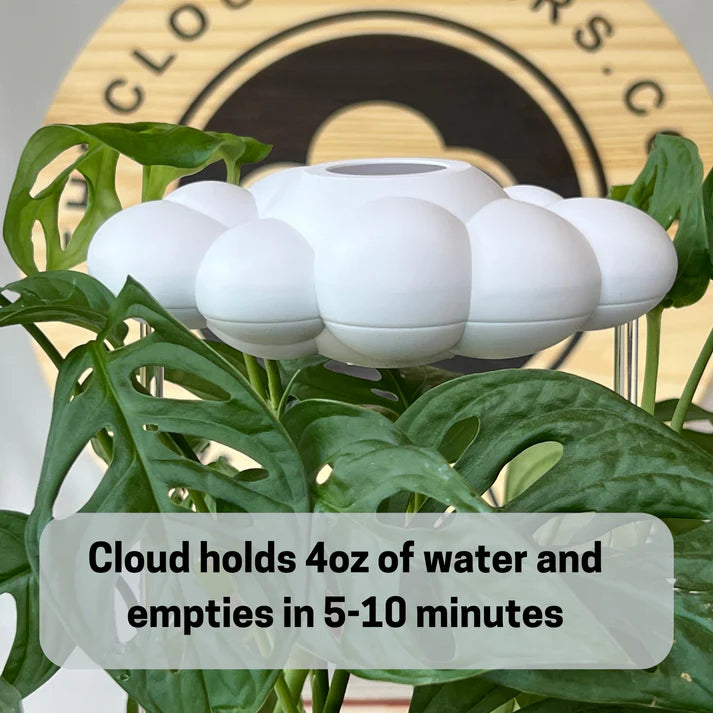 Dripping Rain Cloud Plant Waterer