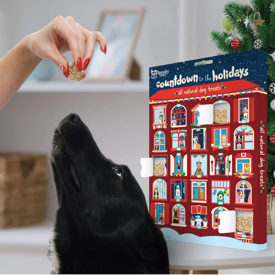 Advent Calendar with Dog Treats