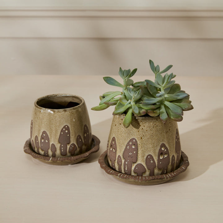 Wild Mushroom Pot & Saucer