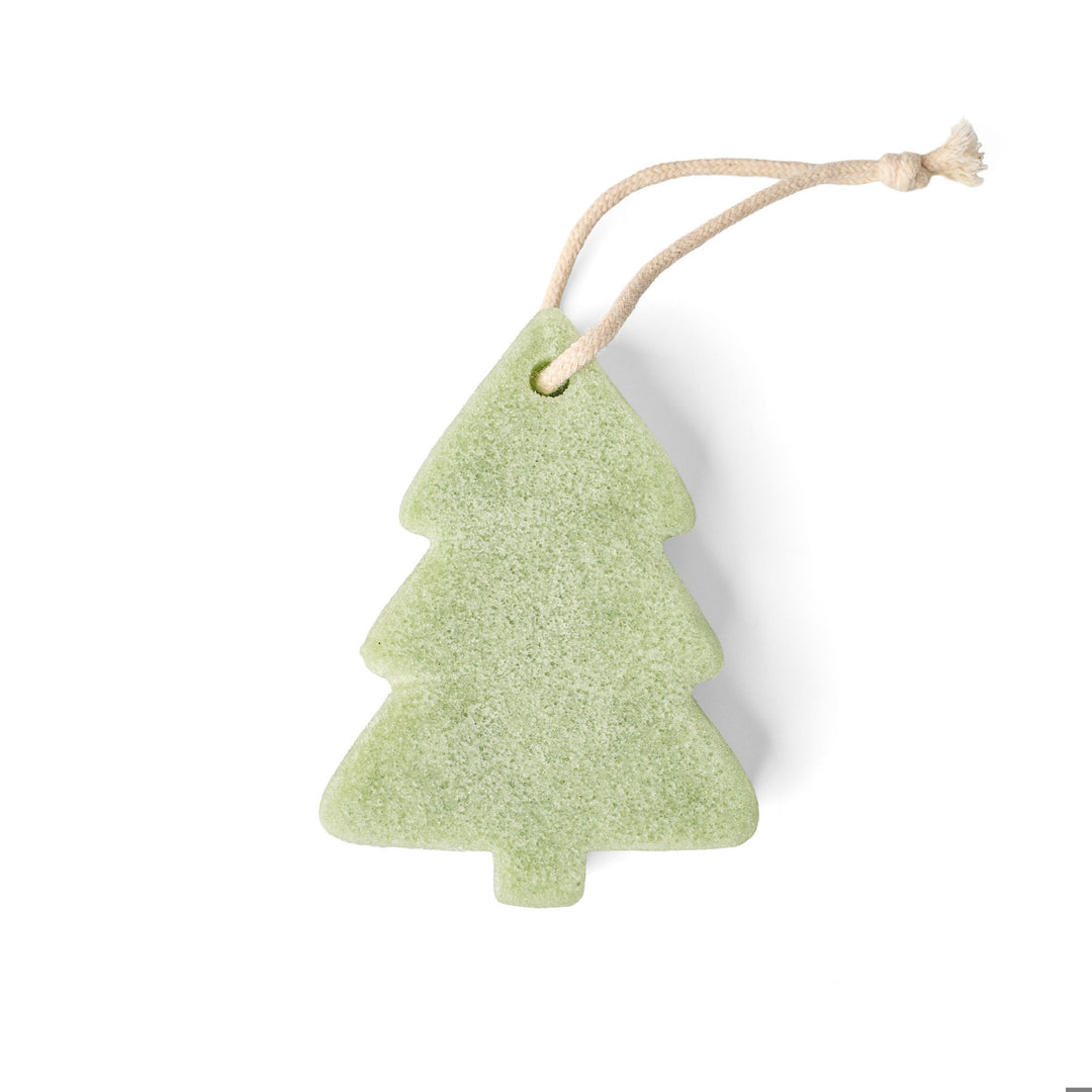 Bubbly and Bright Soap Sponge
