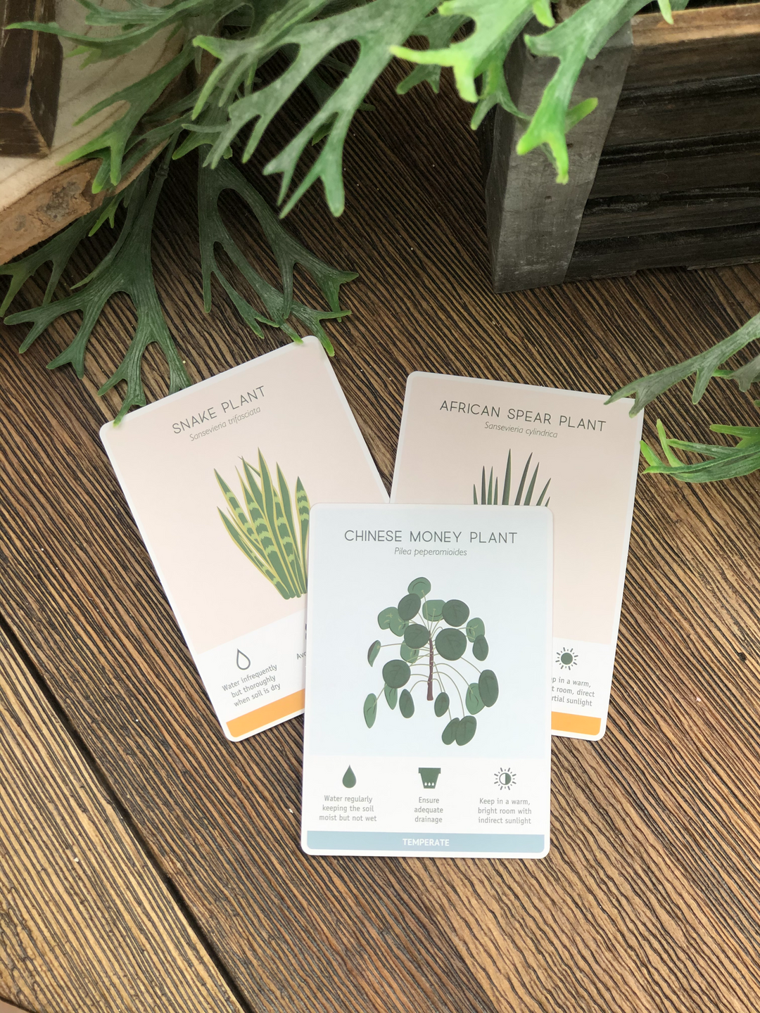 Plant Care Card Set