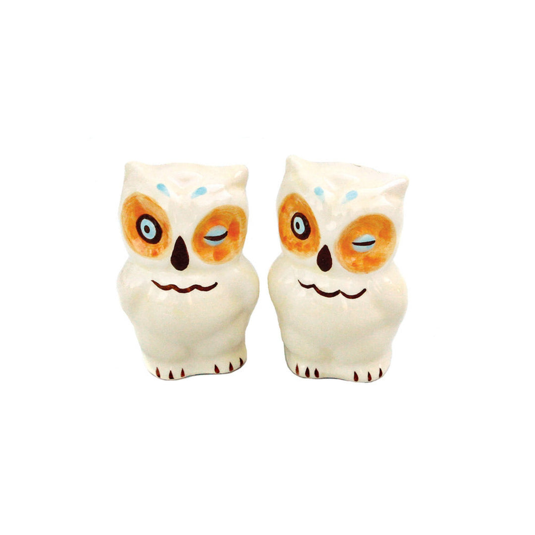 Winking Owls Salt & Pepper Shaker Set