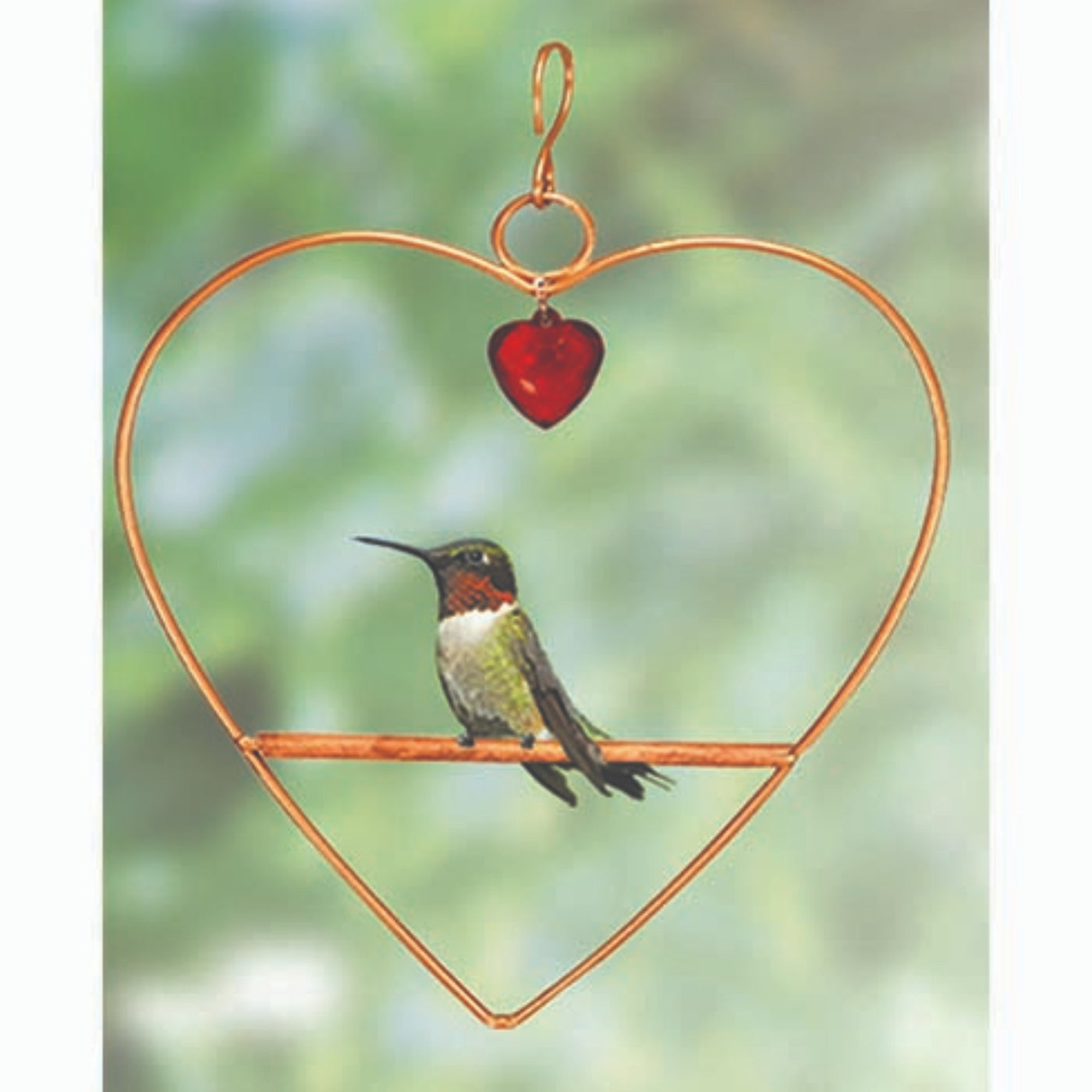 Tweet Heart Copper Hummingbird Swing