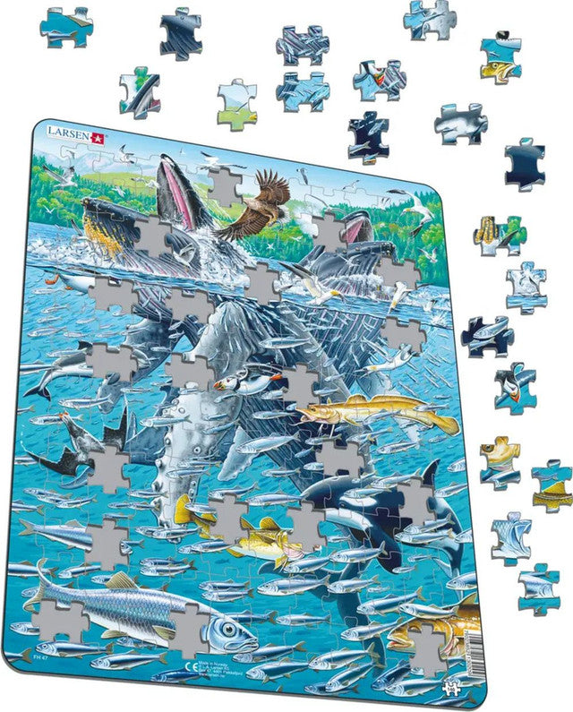 Humpback Whales Puzzle