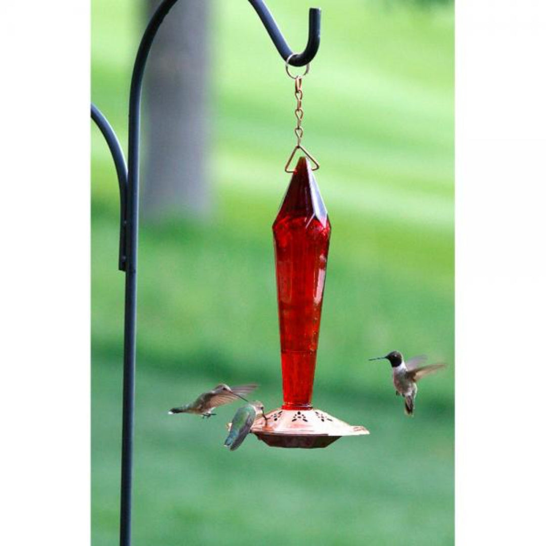 Ruby Bottle Hummingbird Feeder