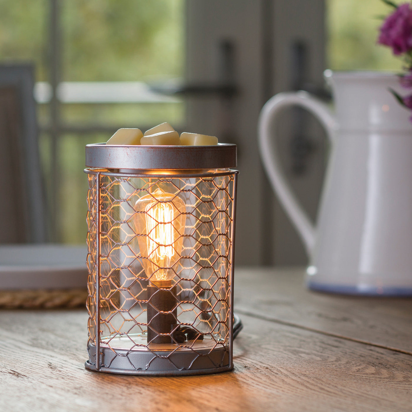 Chicken Wire Edison Bulb Warmer