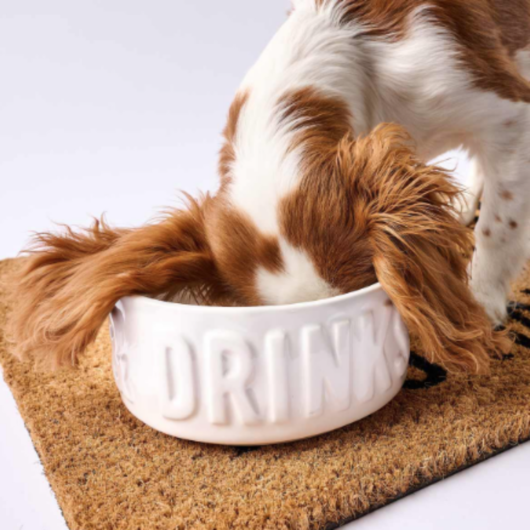 Dinner & Drinks Dog Bowl Set