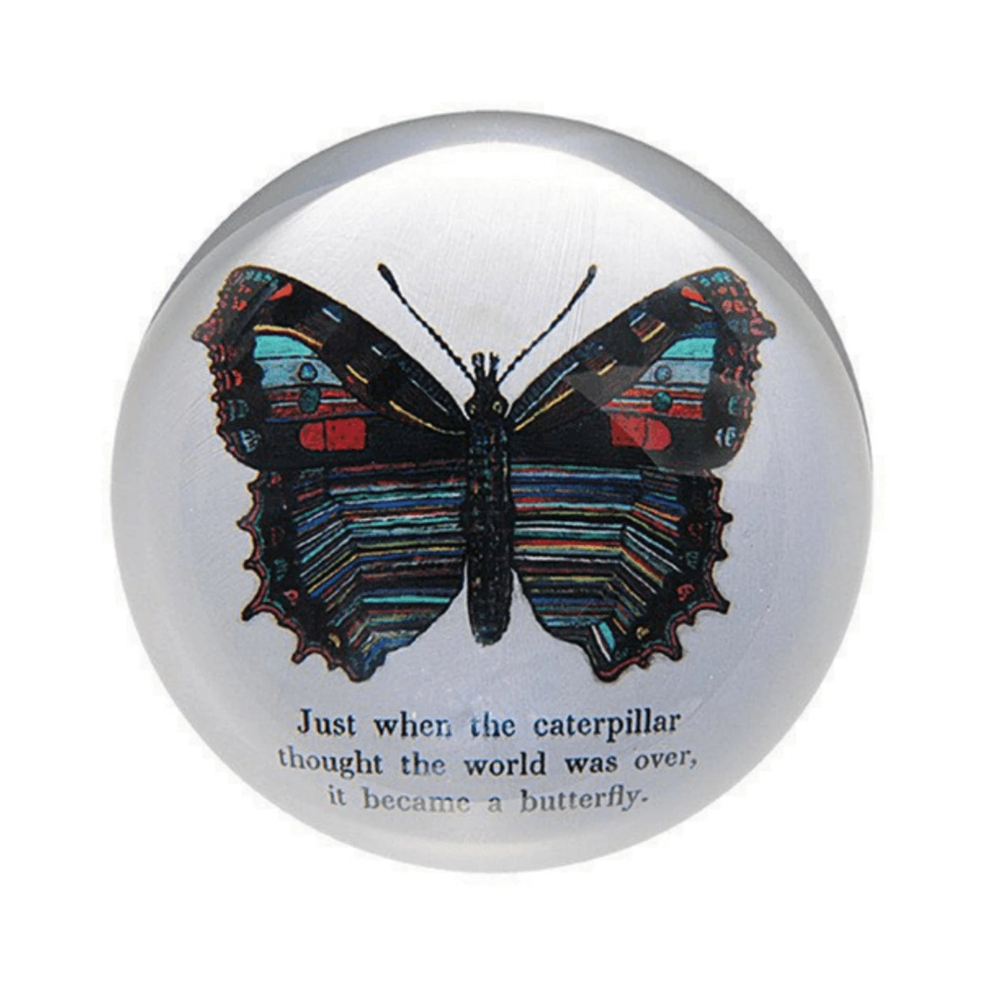 Became A Butterfly Paperweight