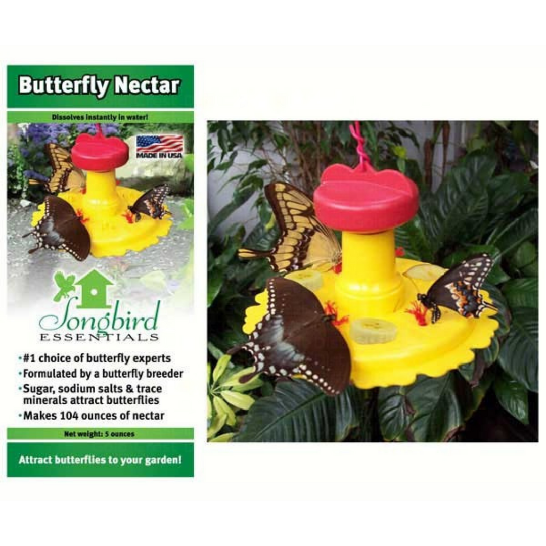 Butterfly Feeder & Nectar Set