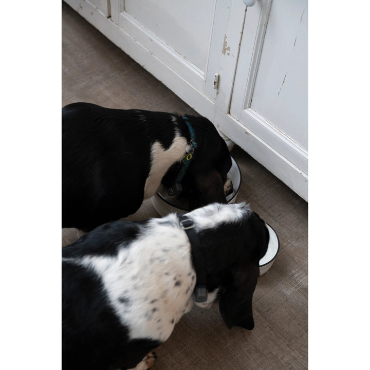 Black Rimmed Stoneware Pet Bowl