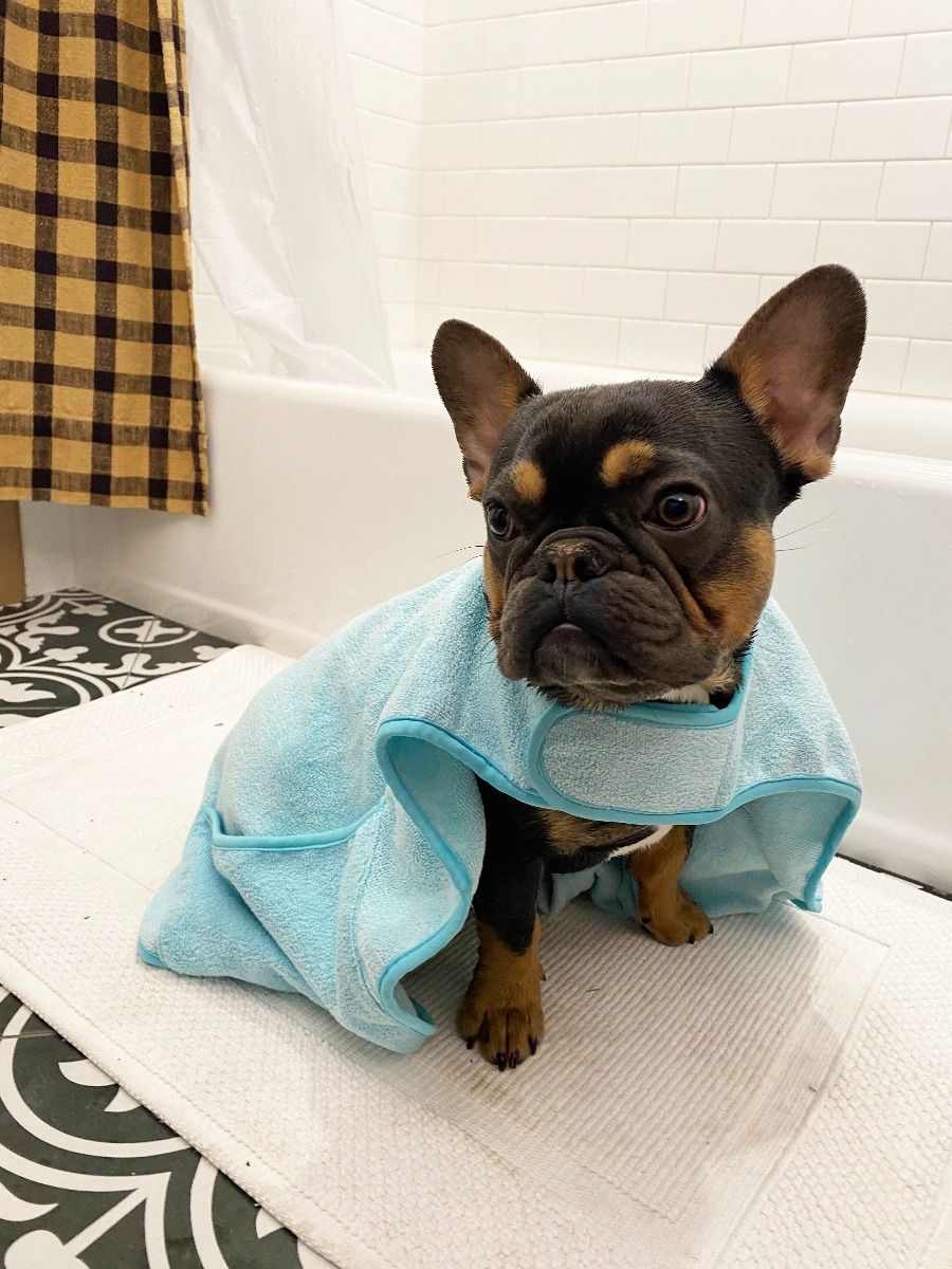 Dog Cape Towel